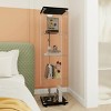 Syemin Decorative Storage Cabinets Glass Display Cabinet 4-Shelf, Curio Cabinets, Tempered Glass Floor Standing Bookshelf, Black, 15.67"*13.58"*65.87" - 2 of 4