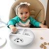 Pavilion Gift Company - Bone Appetit! - Divided Silicone Suction Plate - Dining Plates - 2 of 4
