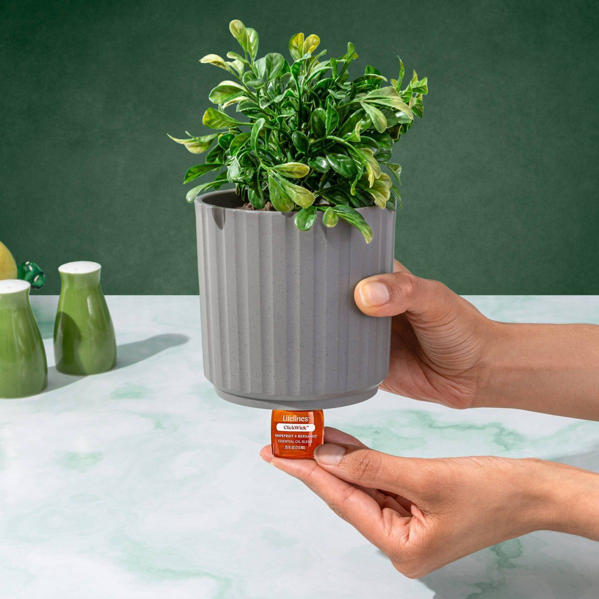 Lifelines Citrus Grove Essential Oil Clickwick - thumbnail 7