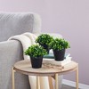 Juvale 3 Pack Mini Artificial Potted Fake Plants for Home Decor, Indoor Small Faux Topiaries for Room, Office Desk, Bathroom Greenery Decorations - 2 of 4