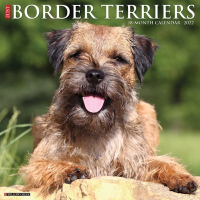 2022 Wall Calendar Just Border Terriers - Willow Creek Press