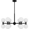 Elser 12-Light Chandelier - 4 of 4