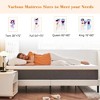 Wuleitex 10-inch  Gel Memory Foam Mattress - 4 of 4