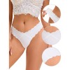 Allegra K Women's No-Show Unlined V-Shape Waist Stretch Hipster Underwear - 3 of 4