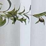 beige, dark purple, medium gray, gray