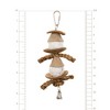 Prevue Pet Products Natural Physical & Mental Naturals - Clown Bird Toy 62554. - 3 of 3