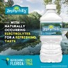 Zephyrhills Brand 100% Natural Spring Water - 12pk/12 fl oz Bottles - 4 of 4