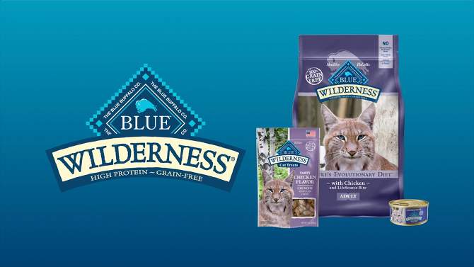 Blue Buffalo Wilderness High Protein Natural Adult Dry Cat Food with Salmon, 2 of 10, play video