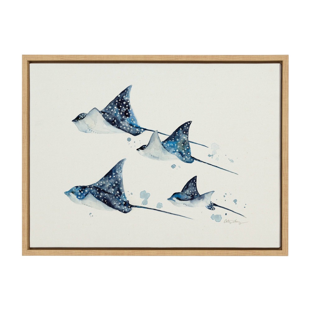 Photos - Other Decoration 18" x 24" Sylvie Eagle Spotted Ray Family by Cathy Zhang Framed Wall Canva