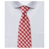 Jacob Alexander Boys’ Gingham Check Necktie – Prep Length - 3 of 4
