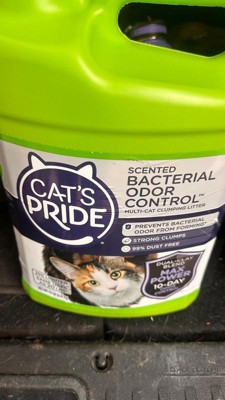 Cat's pride clearance lightweight litter reviews