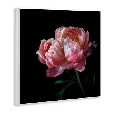 Dark Rose Photography 12" x 12" MDF Wood Wall Plaque