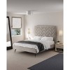 Manhattan Comfort Crosby Modern Velvet Upholstered Bed - 2 of 4