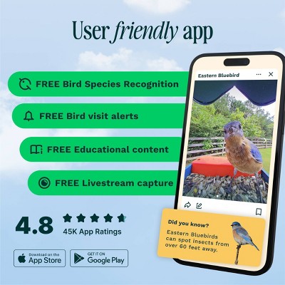 Blue Solar-Powered Smart Bird Feeder with Camera and Glass Enclosure