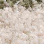 off white, lime green