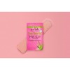 Que Bella Deep Cleansing Pink Clay Mud Mask - 0.5oz - image 4 of 4