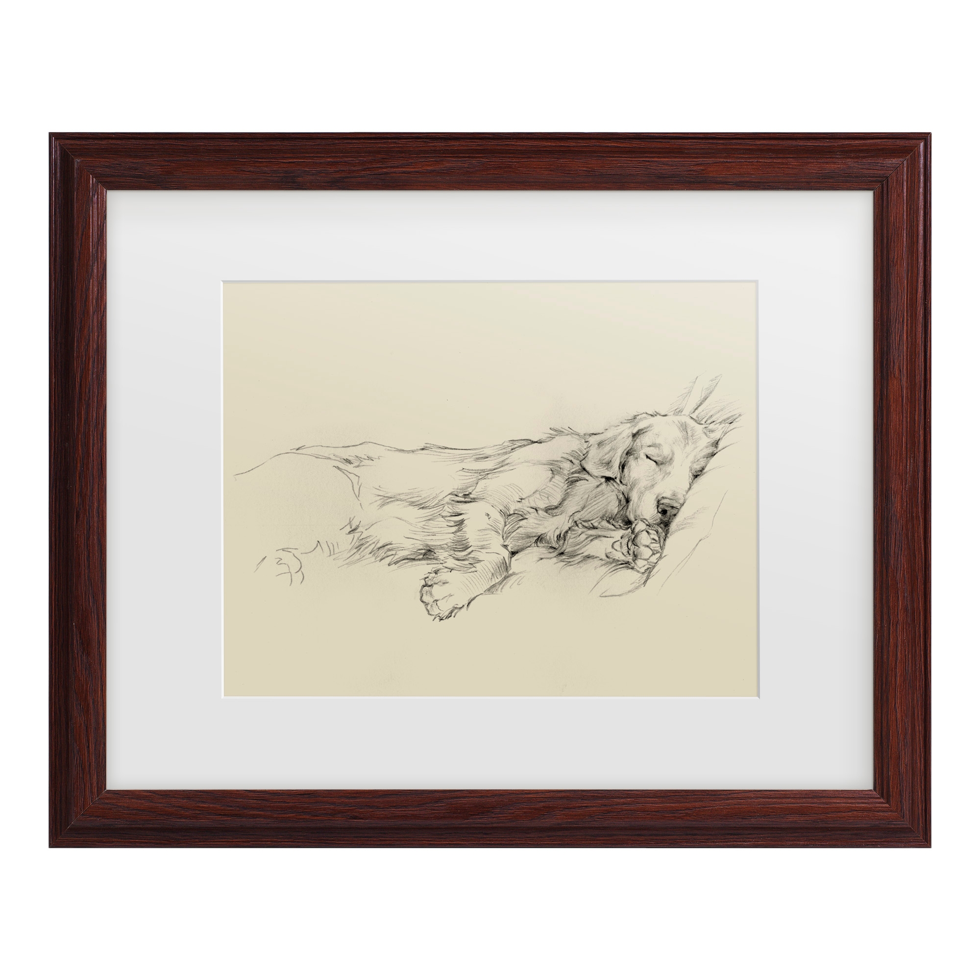 Trademark Fine Art -Ethan Harper 'Dog Days Iii' Matted Framed Art - Brown - 13.75''x16.75''