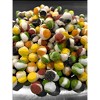Planet Xpress Freeze-Dried Orbit Gems – Sweet, Crunchy, Out-of-This-World Candy Treats - 2 of 4