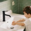PAGED Single Hole Bathroom Sink Faucet,Stainless Steel Single Handle Bathroom Faucets for Home Sinks - 2 of 4