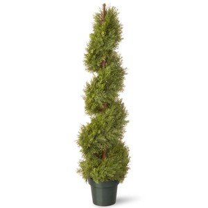 National Tree Company 48" Artificial Juniper Spiral - 1 of 3