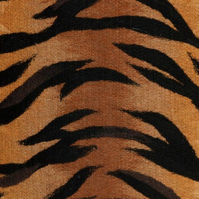 tiger brown