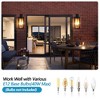 Gulches Outdoor Wall Lights - Black Lantern Collection: 20"-26" Options with Clear Glass, Light Sensors, Multiple Sockets for Porch, Patio, Garage - 3 of 4