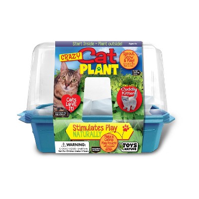 Toys by Nature Miniature Worlds Organic Catnip Windowsill Terrarium Starter Kit, Complete Supplies and Easy-to-Grow Indoor Plants