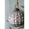 Gulches Series Silver Shatterproof Natural Iced Leaf Twig Ball Christmas Ornament - 4 of 4