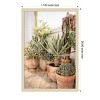 Amanti Art Patio Garden with Potted Succulents by Henrike Schenk Wood Framed Wall Art Print - 3 of 4