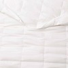 Puredown Lightweight Cooling Lyocell White Down Blanket, Tencel Comforter for Summer - 2 of 4