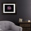 Trademark Fine Art - Brian Carson Backyard Flowers 47 Matted Framed Art - image 2 of 4