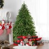 Northlight 7.5' Pre-Lit Roosevelt Fir Artificial Christmas Tree - Clear Lights - 2 of 4
