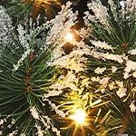 snowman lightbox 2pcs