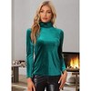 Allegra K Women's Solid Turtleneck Velvet Long Sleeve Work Basic Velour Blouse - 2 of 4