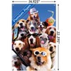 Trends International James Booker - Dog Selfie Unframed Wall Poster Prints - 3 of 4