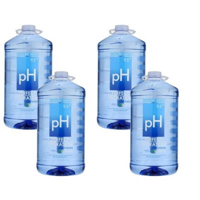 Pathwater Purified Still Water - Case of 12/25 fz
