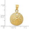 Black Bow Jewelry 14k Yellow Gold 16mm Laser Cut Sand Dollar Pendant - 3 of 4