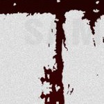 new england patriots