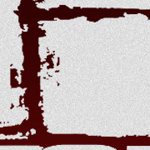 new england patriots