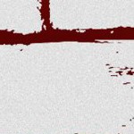 new england patriots