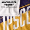 Lipscomb University Fan Zone Silky Touch Super Soft Throw Blanket 50x60 - 4 of 4