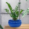 Sunnydaze Ceramic Ribbed Planter Bowl - Imperial Blue - 14.5" Round - 2 of 4
