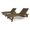 PAGED Patio Chaise Lounge Simple Wooden Folding Chair with Handle Modern Lounge Chair with Curved Design for Garden, Poolside - 4 of 4