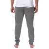 Jurassic Park Mens' Dinosaur Film Movie Title Logo Sleep Jogger Pajama Pants Graphite - 3 of 3
