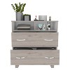 NicBex Double Drawer Dresser for Bedroom,Modern Style Drawers with Metal Handle,Dressers for Kids Room,Living Room,Entry and Hallway - 4 of 4