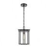 Elk Home Radnor 1 - Light Pendant in  Matte Black - 2 of 4