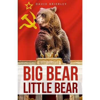 Big Bear, Little Bear - by  David Brierley (Paperback)