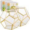 D'Eco Glass Geometric Plant Terrarium (Set of 2) - Indoor Tabletop Gold Sphere Planter Terrarium- Home Garden Office Wedding Decor - Plant Lovers Gift - 3 of 3