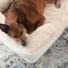 TOWN & COUNTRY EVERYDAY CuddleTown Comfy Solid Bolster Sofa Pet Bed - 4 of 4
