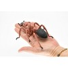 Collectible Wildlife Gifts | Carpenter Ant, Red Very Nice Rubber Replica   5 inches long   -   F2064 B134 - 3 of 4